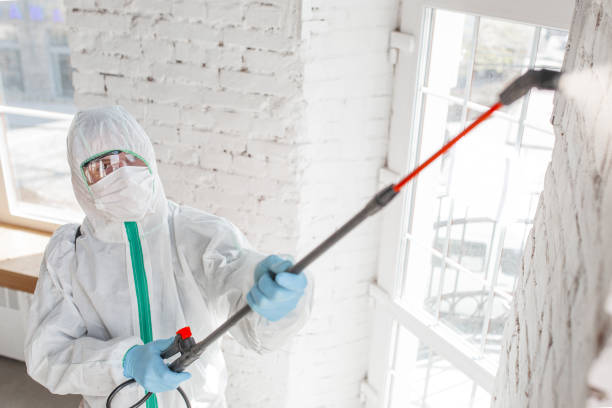 Best Indoor Air Quality Assessment  in Middletown, DE
