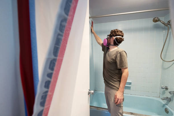 Middletown, DE Mold Removal Company