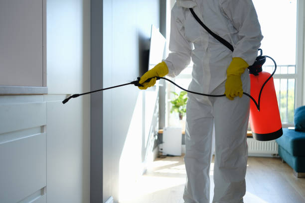 Best Biohazard Mold Removal  in Middletown, DE